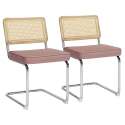 Lot de 2 chaises en acier et velours 